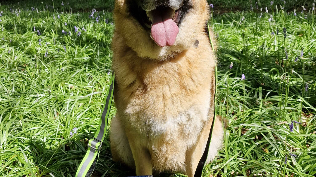 Preparing for Summer!