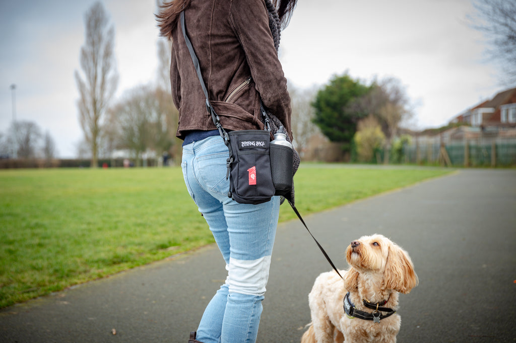 The Diddy Bag - Black  Barking Bags   