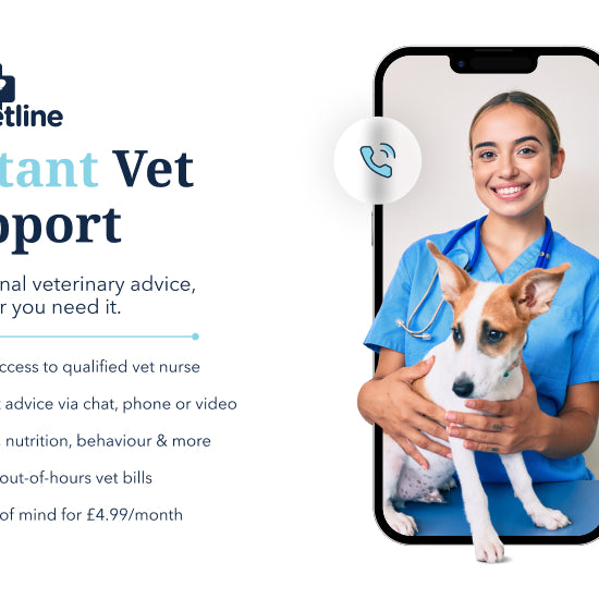 247VetLine: Online Video Vet Advice Vet Subscription Barking Bags