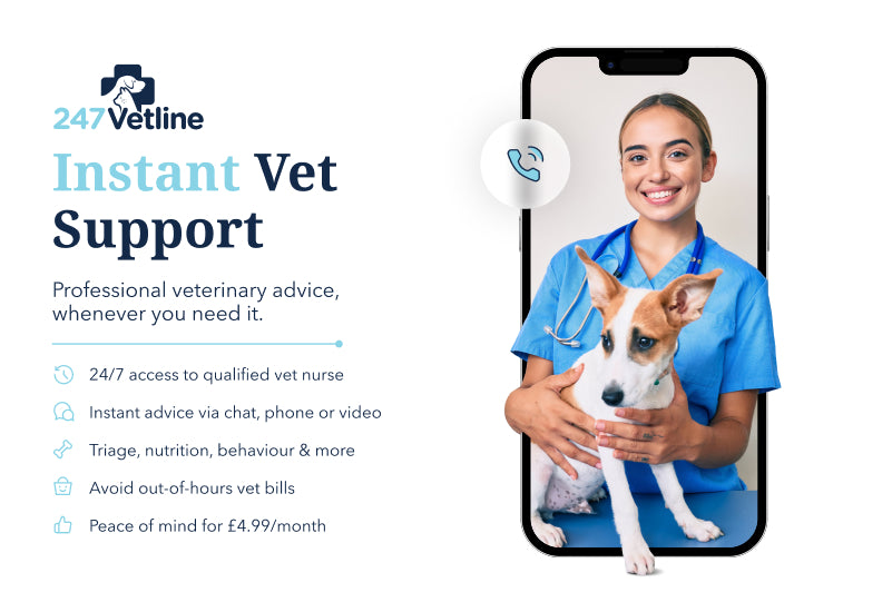 247VetLine: Online Video Vet Advice Vet Subscription Barking Bags