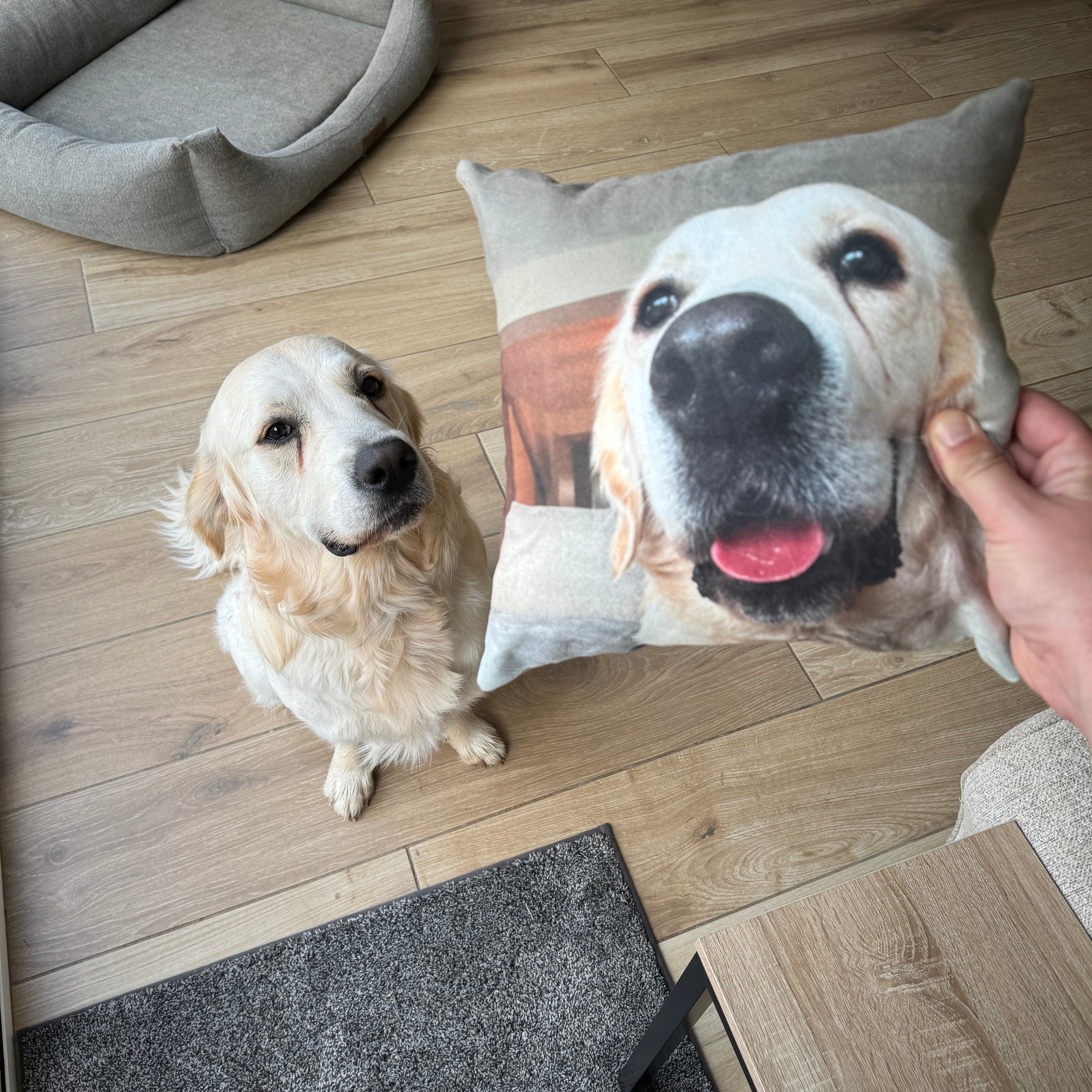 Custom Dog Photo Cushion - Square - Faux Suede Cushions Prodigi