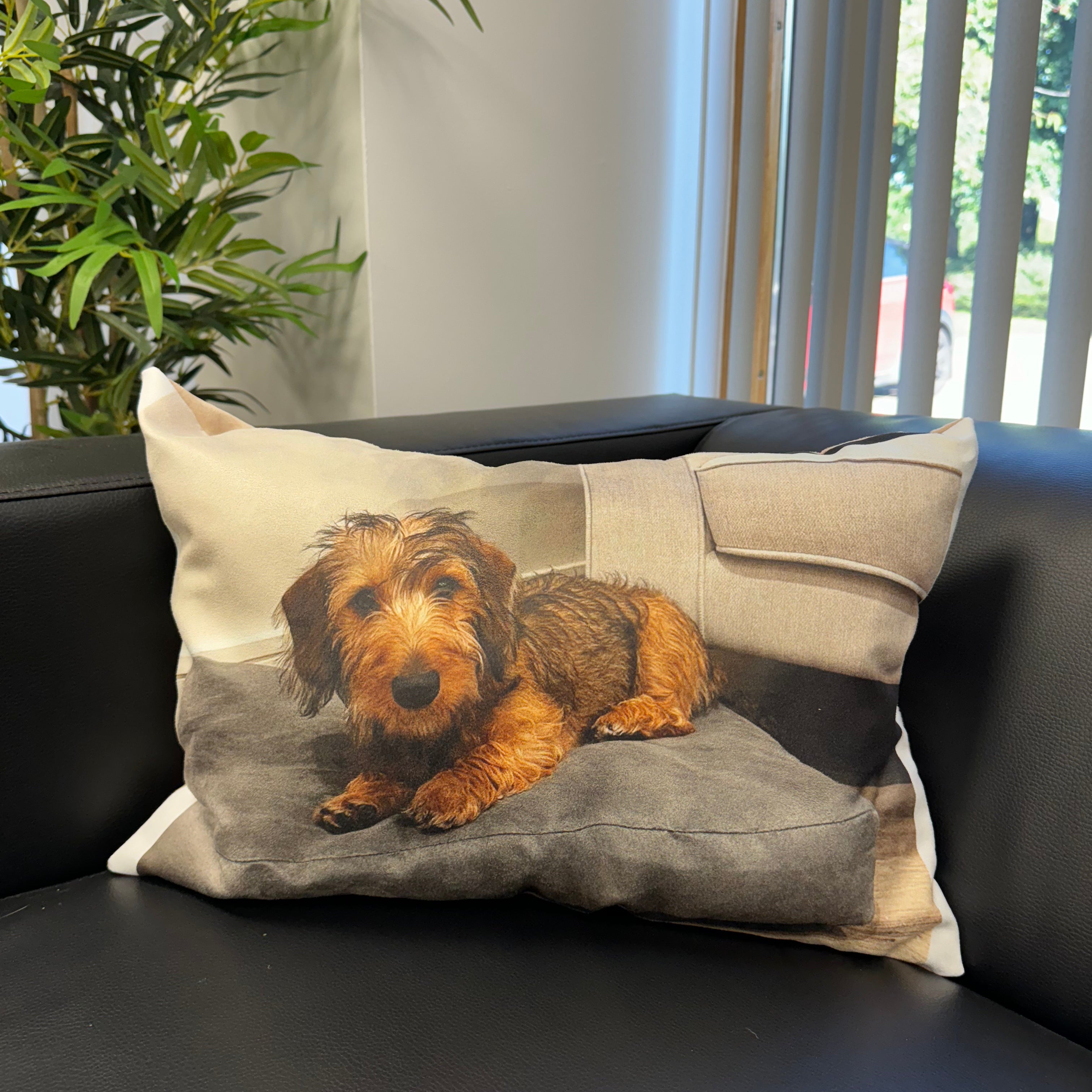 Custom Dog Photo Cushion - Rectangle Shaped Cushions Prodigi