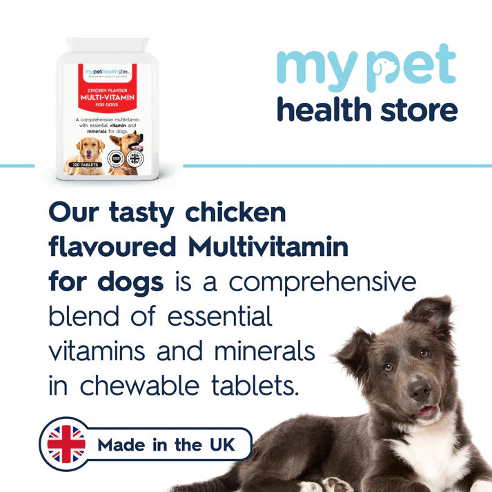 Multivitamin for Dogs Pet Supplement My Pet Health Store