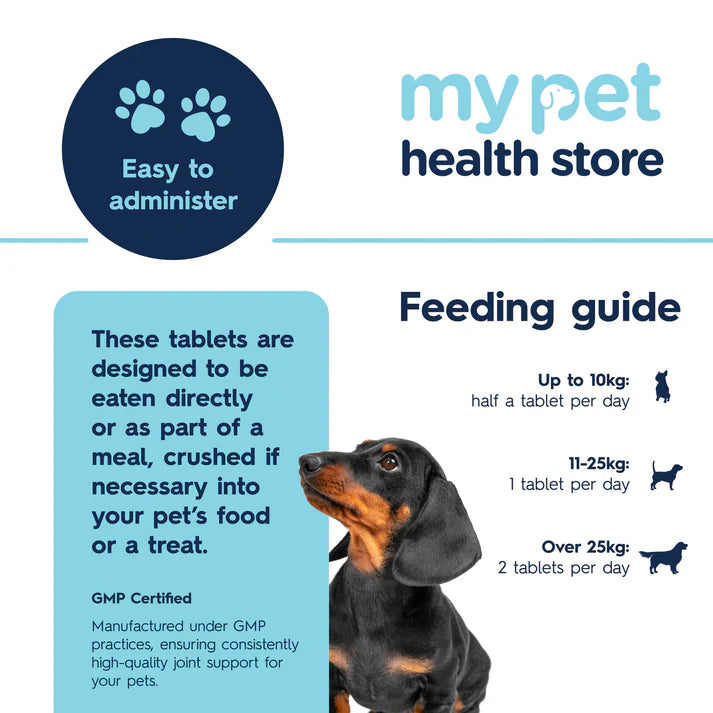 Multivitamin for Dogs Pet Supplement My Pet Health Store