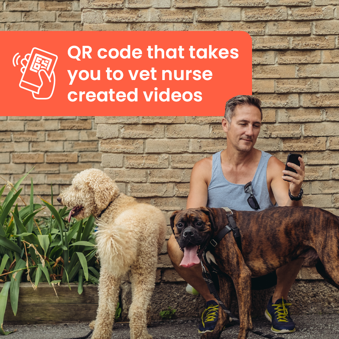 Poorly Paws - Dog First Aid Kit First Aid Kit Poorly Paws