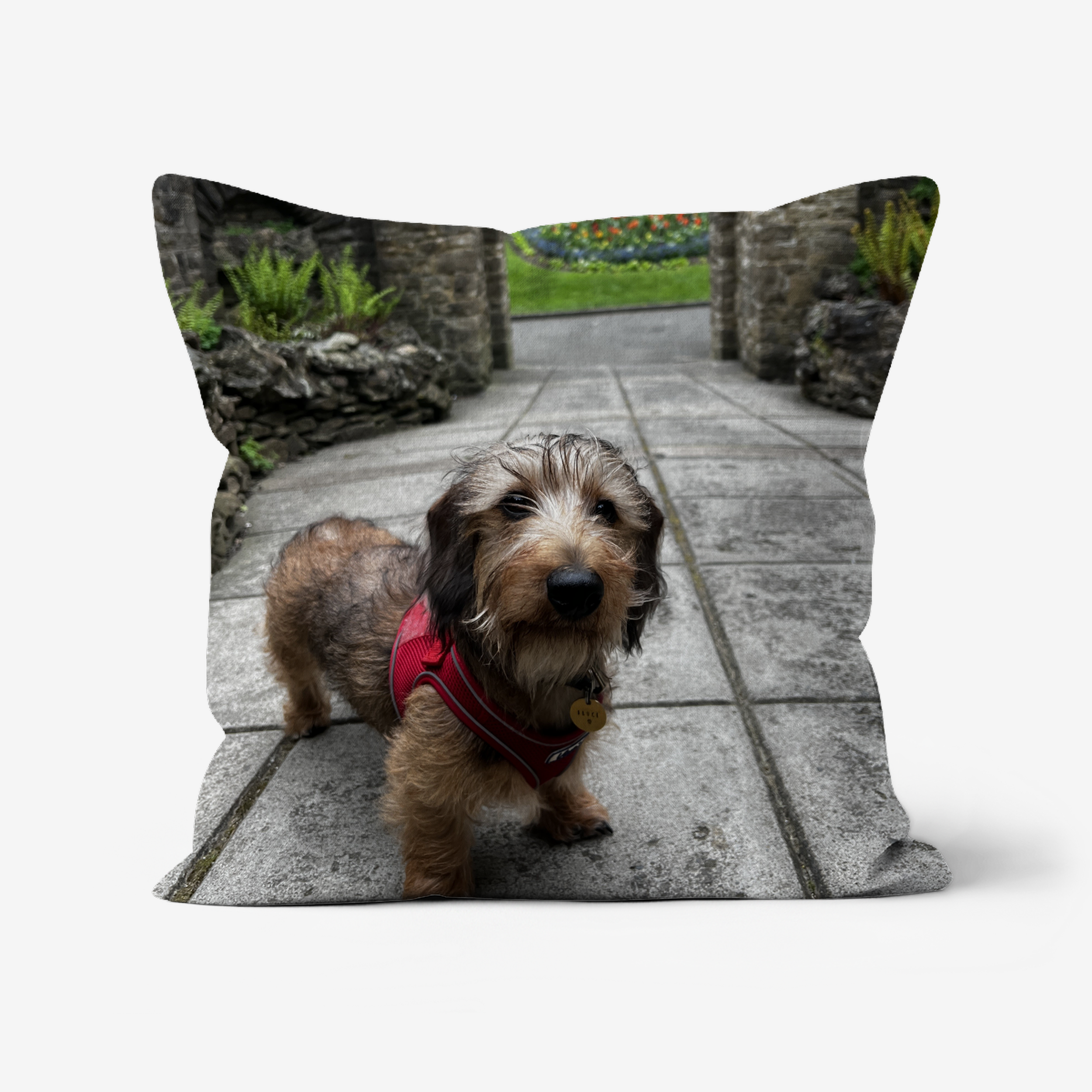 Custom Dog Photo Cushion - Square - Faux Suede Cushions Prodigi
