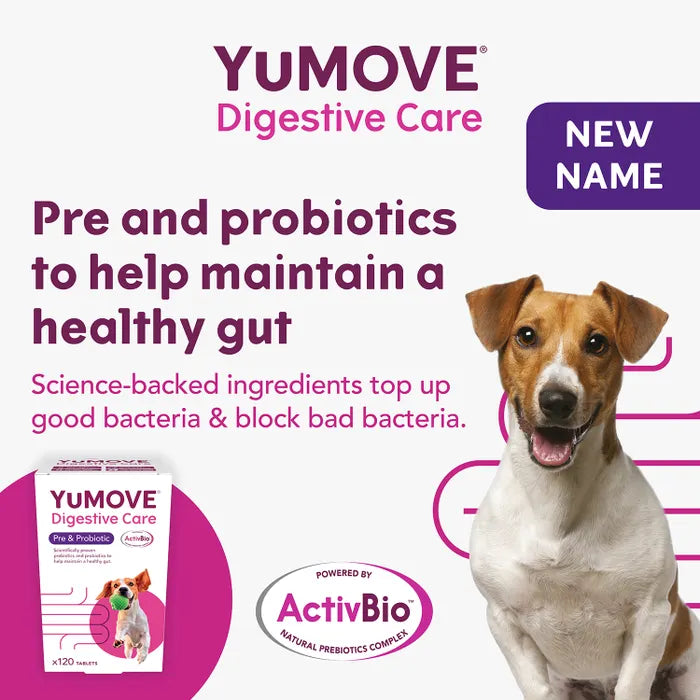 YuMOVE Digestive Care for All Dogs - 120 pack Dog Supplies YuMOVE   