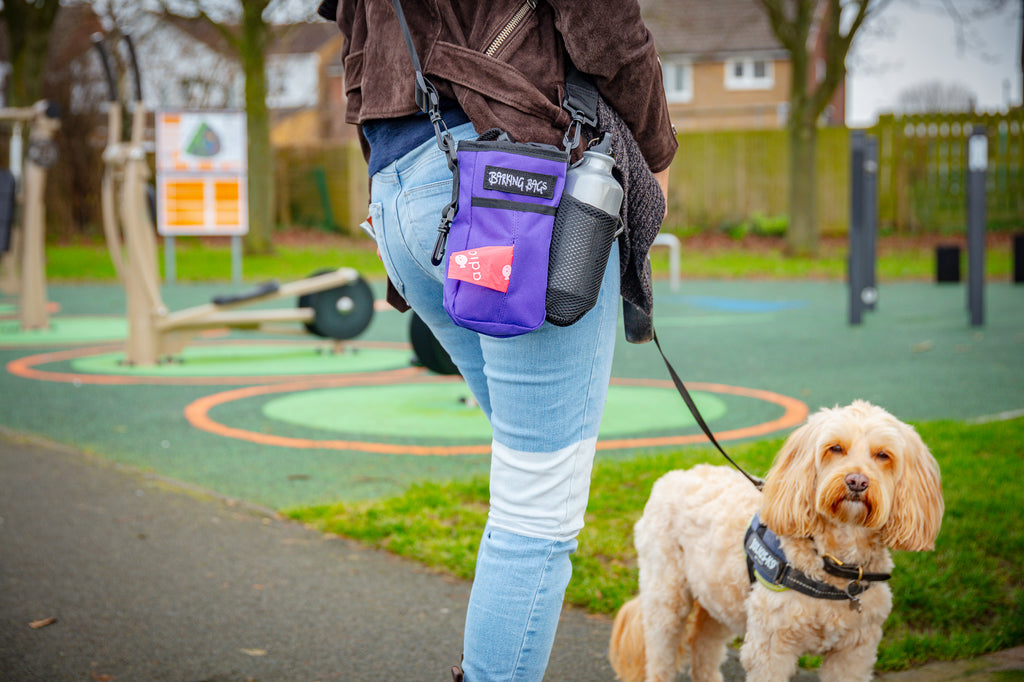 The Diddy Bag - Purple  Barking Bags   