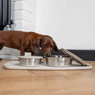 Lid-it® Bowl with Stay-Fresh Lid - Beige Dog Supplies Pup & Kit