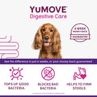 YuMOVE Digestive Care for All Dogs - 120 pack Dog Supplies YuMOVE   