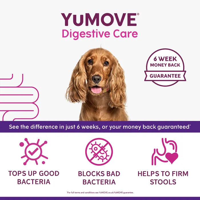 YuMOVE Digestive Care for All Dogs - 120 pack Dog Supplies YuMOVE   