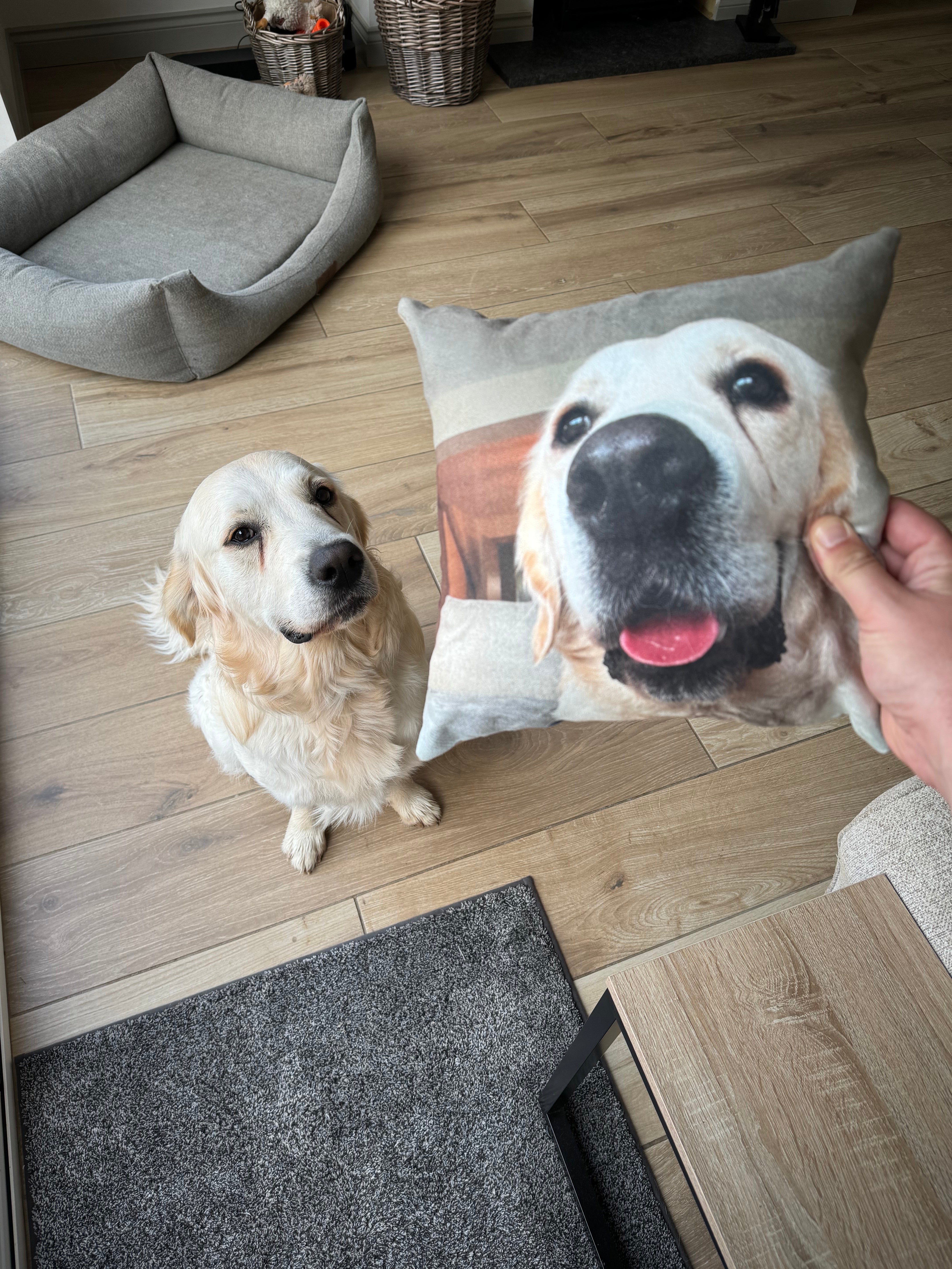 Custom Dog Photo Cushion Square Faux Suede – Barking Bags