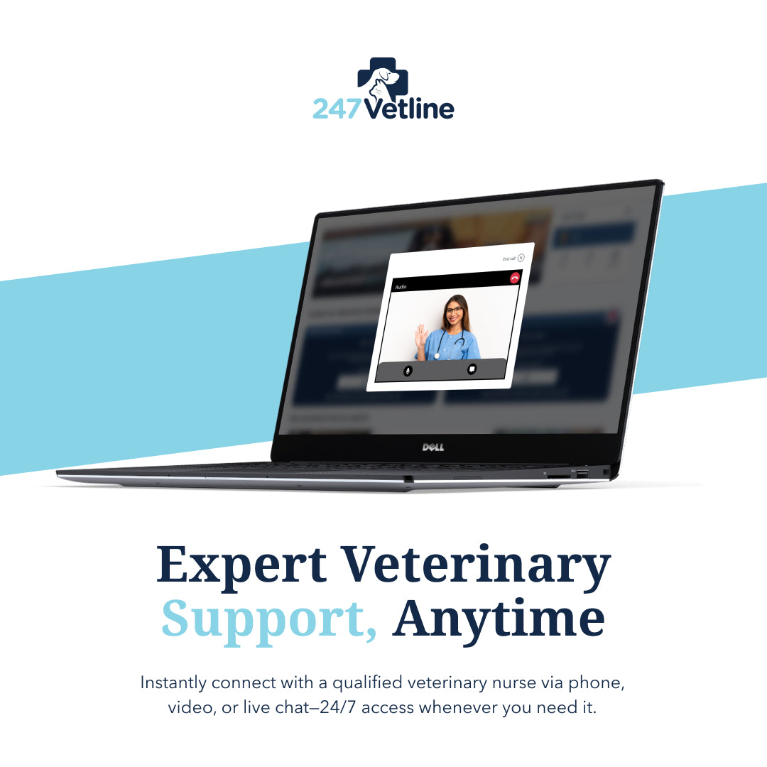 247VetLine: Online Video Vet Advice Vet Subscription Barking Bags