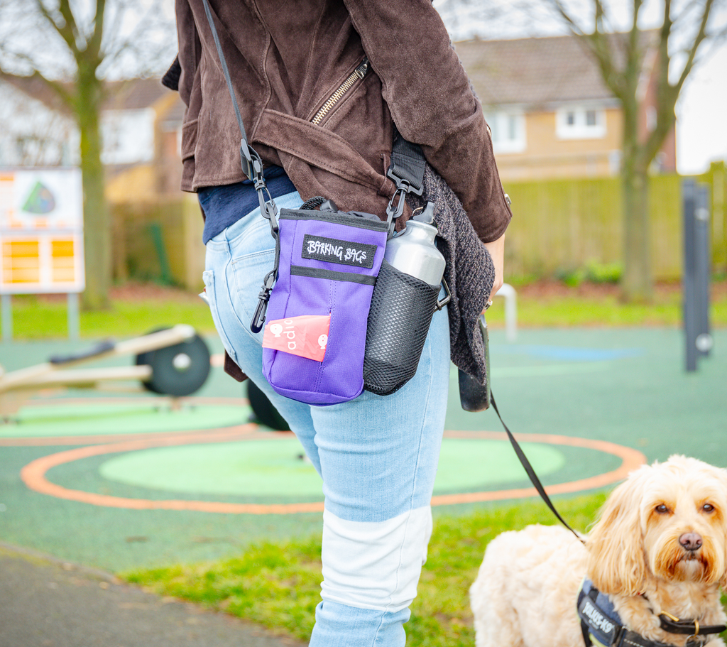 purple dog walking bag