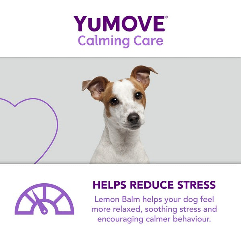 YuMOVE Calming Care for Adult Dogs - 60 pack Dog Supplies YuMOVE   