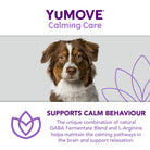 YuMOVE Calming Care for Adult Dogs - 60 pack Dog Supplies YuMOVE   