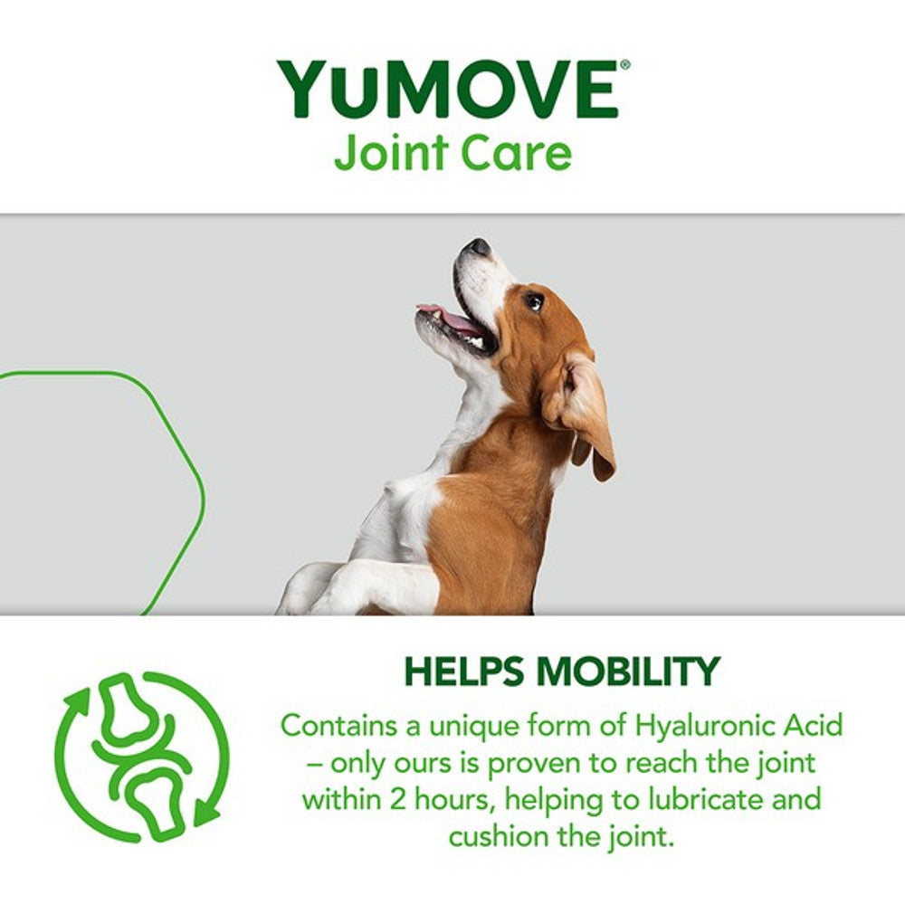 YuMOVE Joint Care for Adult Dogs - 60 pack Dog Supplies YuMOVE   