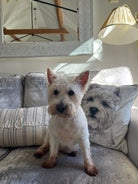 Custom Dog Photo Cushion - Square - Faux Suede Cushions Prodigi   