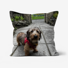 Custom Dog Photo Cushion - Square - Faux Suede Cushions Prodigi   